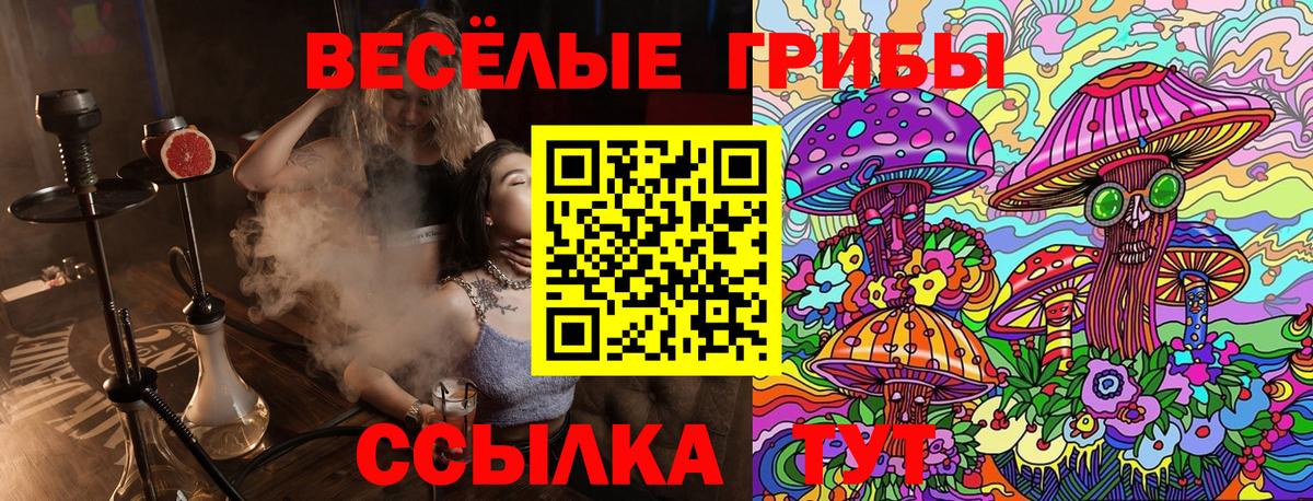 Псилоцибиновые грибы прущие грибы Тайшет