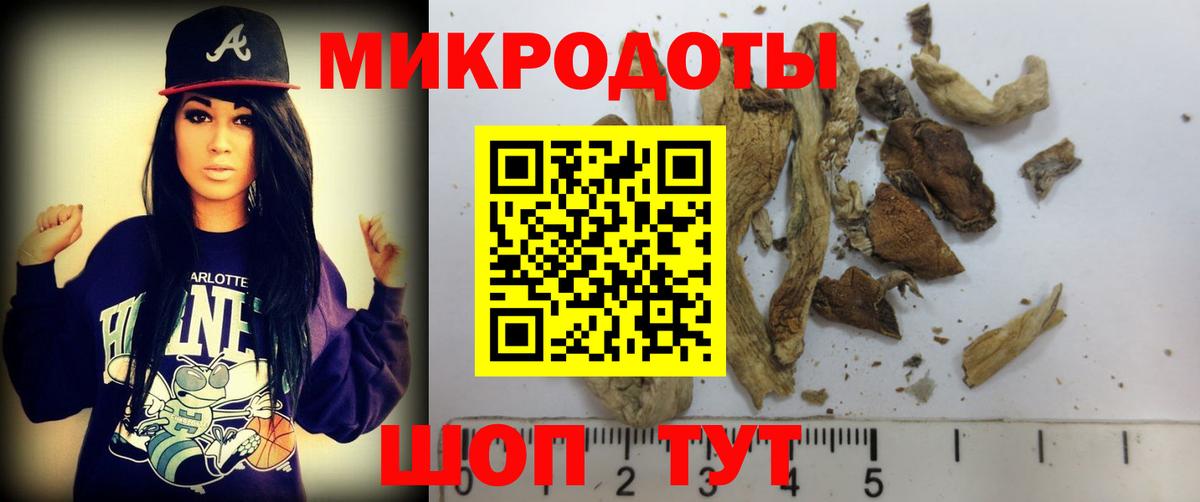 Тайшет  Псилоцибиновые грибы MAGIC MUSHROOMS  Вход с VPN 