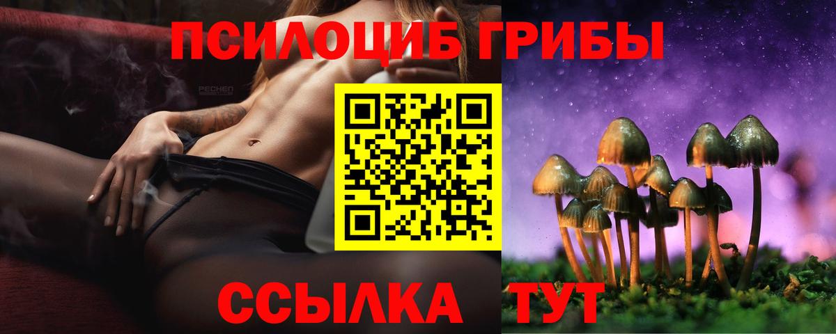 Псилоцибиновые грибы MAGIC MUSHROOMS Тайшет