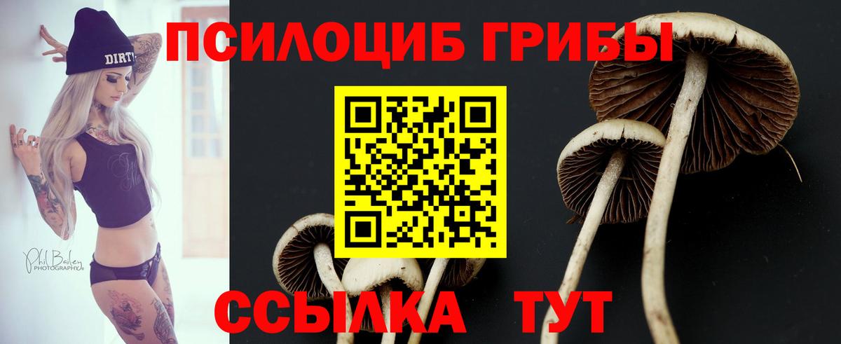 Тайшет  Вход с VPN  Бошки Шишки  Мефедрон кристаллы  Кодеин  ГАШ  Кокаин 