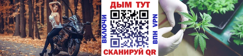 купить закладку даркнет официальный сайт Бошки Шишки семена Тайшет